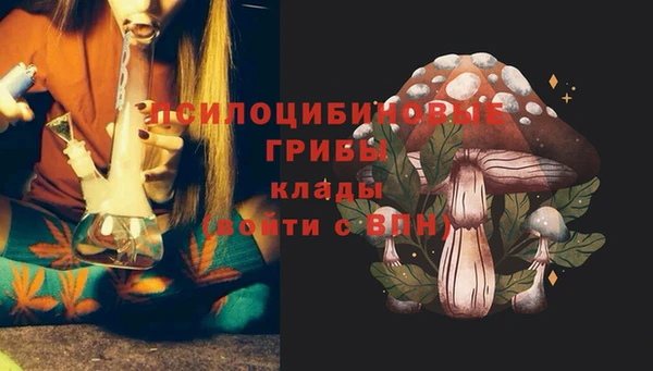 трава Баксан