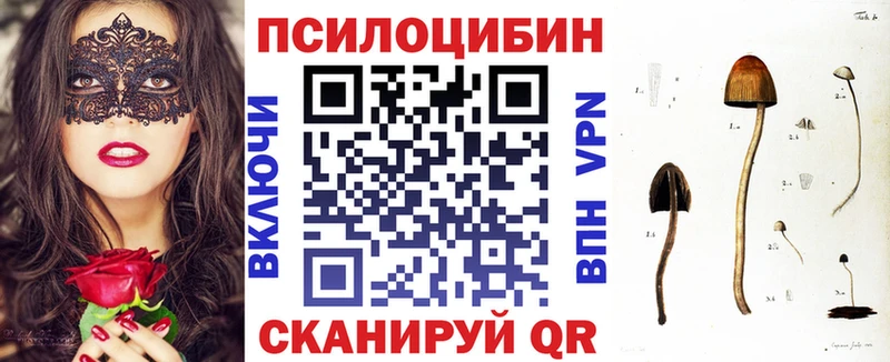 Псилоцибиновые грибы Psilocybine cubensis  что такое наркотик  Пойковский 